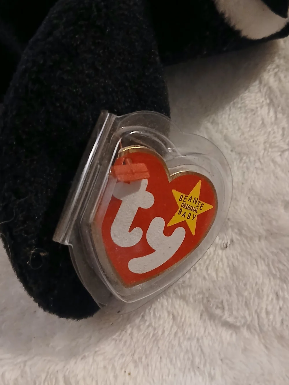 TY 